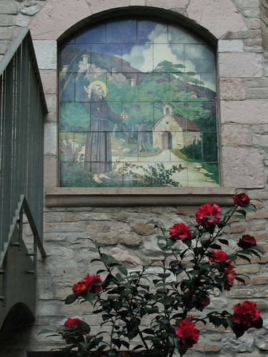 Die Rose ohne Dornen